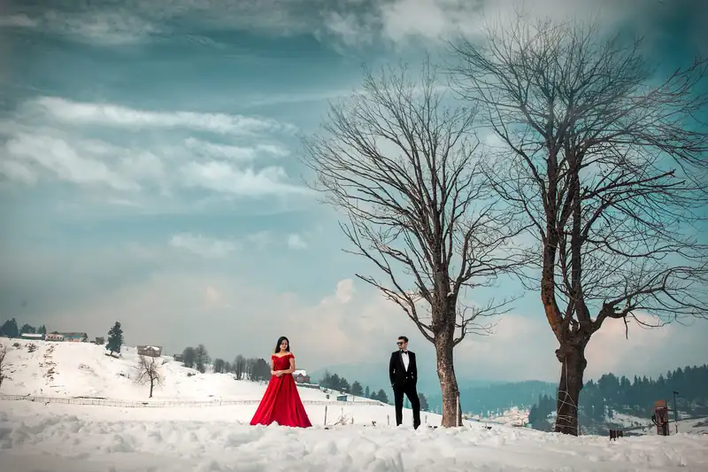 A couple standing far apart in deep snow between two bare trees, the woman in a long red gown.
